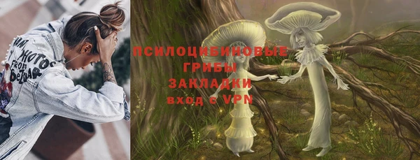 дживик Лабытнанги