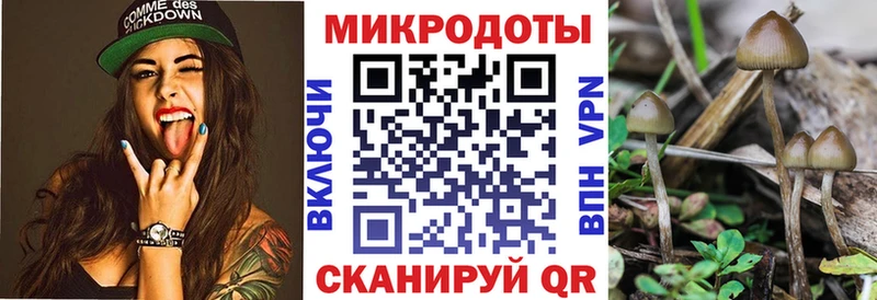 Галлюциногенные грибы Magic Shrooms  Купить  Минусинск 